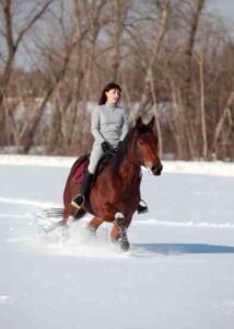 Farming Advice: Winter Horseback Riding Tips, Tire Traction in the Snow and Canning Potatoes Image